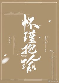 懷瑾抱瑜